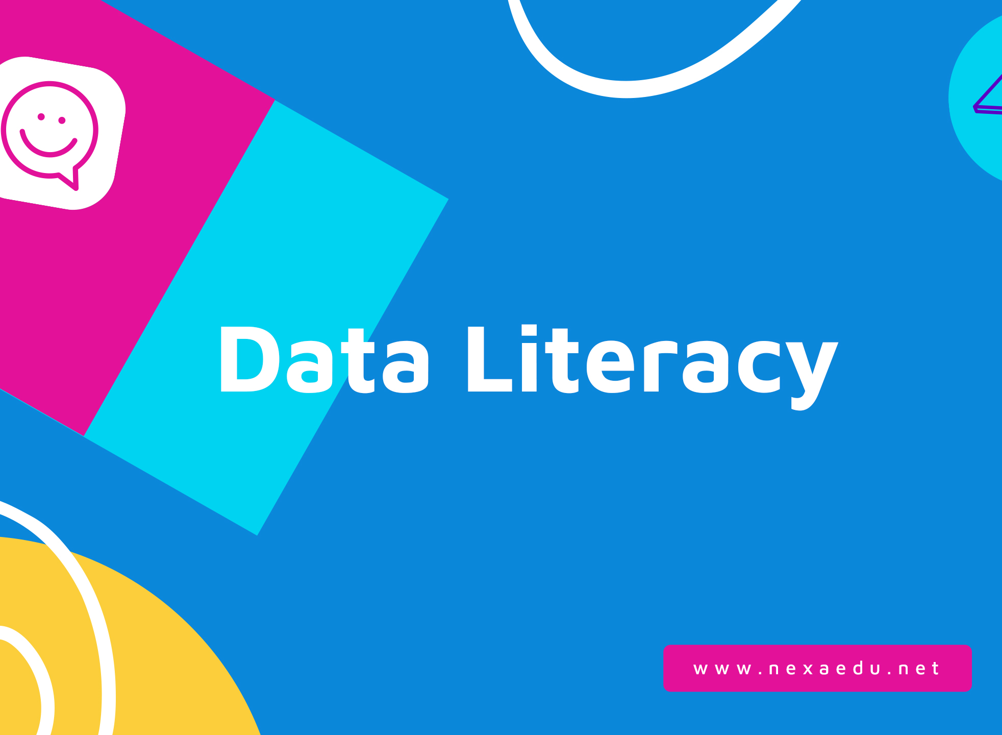 Data Literacy